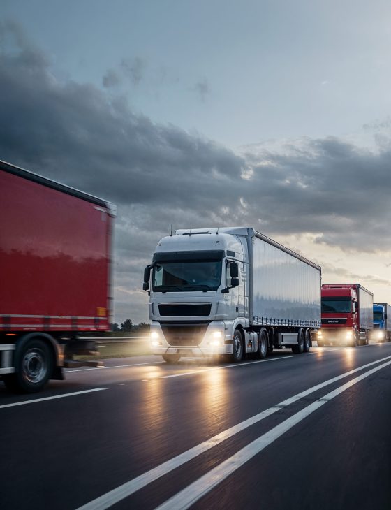 cegro_trasporti_espertitalia (2)